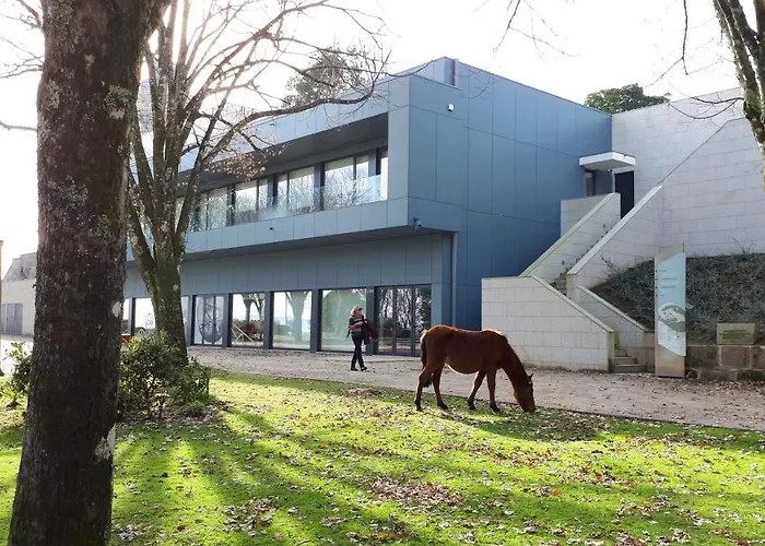 De Santa Luzia - Peregrinos De Santiago *